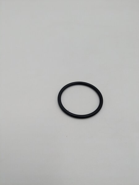 O-Ring 29 x 2,5 NBR 70